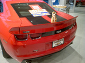 Enlarge photo 8