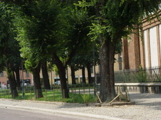 Enlarge photo 2