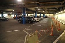 AMNH garage STD