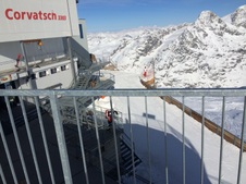 Enlarge photo 2