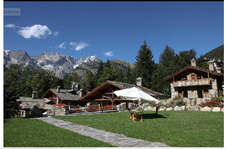 Enlarge photo 36
