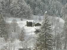 Enlarge photo 5