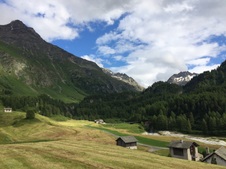 Enlarge photo 26