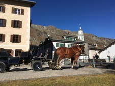 Enlarge photo 28