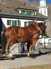 Enlarge photo 29