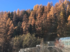 Enlarge photo 32