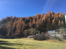 Enlarge photo 33