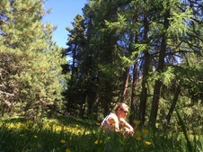 Enlarge photo 45
