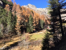 Enlarge photo 49