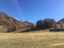 Enlarge photo 50
