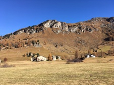 Enlarge photo 51