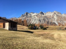Enlarge photo 53