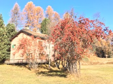 Enlarge photo 56