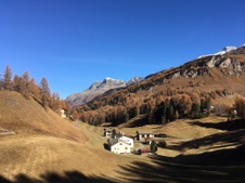 Enlarge photo 57