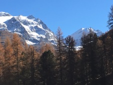 Enlarge photo 58