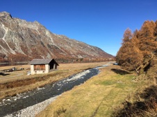 Enlarge photo 60