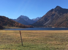 Enlarge photo 63