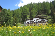 Enlarge photo 47