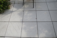 Enlarge photo 35