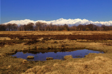 Enlarge photo 48
