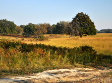 Enlarge photo 52