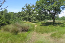 Enlarge photo 2