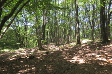 Enlarge photo 19