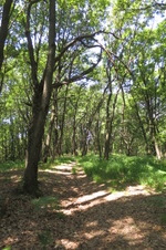 Enlarge photo 22