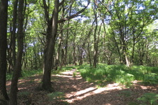 Enlarge photo 23