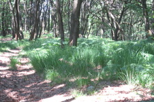 Enlarge photo 24