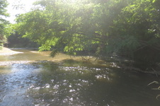 Enlarge photo 31