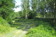 Enlarge photo 35