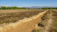 Enlarge photo 53