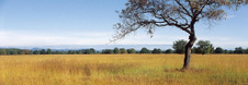Enlarge photo 55