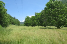 Enlarge photo 3