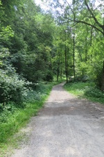 Enlarge photo 8