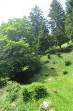 Enlarge photo 14