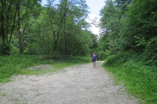 Enlarge photo 16