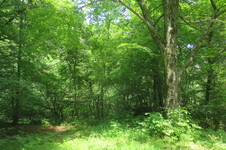 Enlarge photo 18