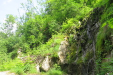 Enlarge photo 20