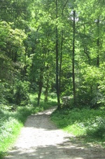 Enlarge photo 26