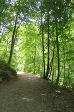 Enlarge photo 27