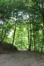 Enlarge photo 28