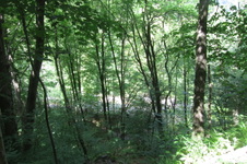 Enlarge photo 29