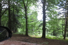 Enlarge photo 41
