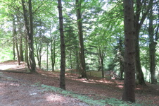 Enlarge photo 42