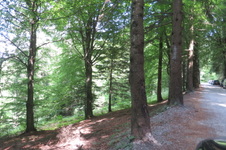 Enlarge photo 43