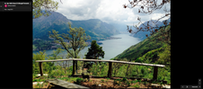 Enlarge photo 45