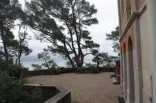 Enlarge photo 94