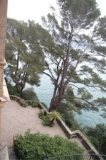 Enlarge photo 89